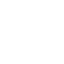 Timing Belts & Chains